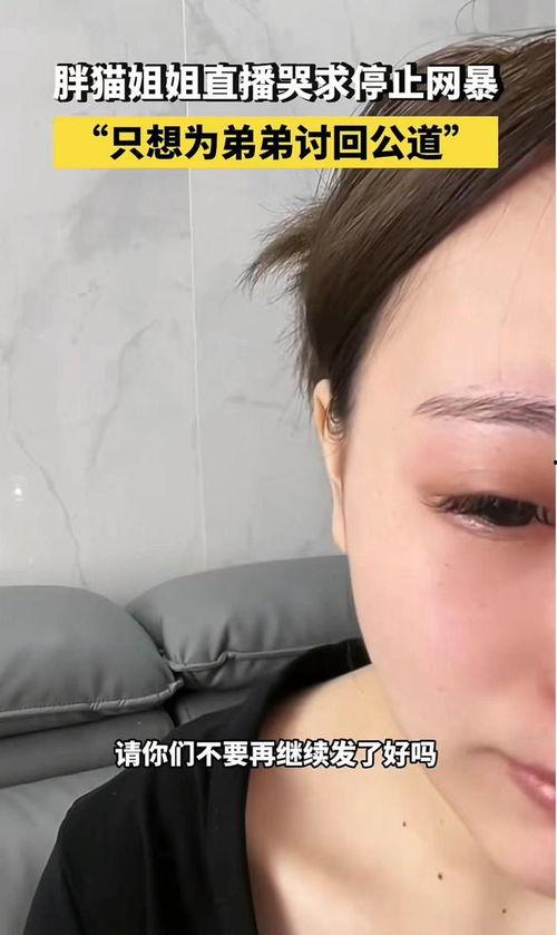 最新博主爆料胖猫是谁,最新博主爆料，胖猫身份引发热议！