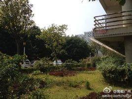广州大学城爆料事件最新,揭秘校园疑云背后的真相