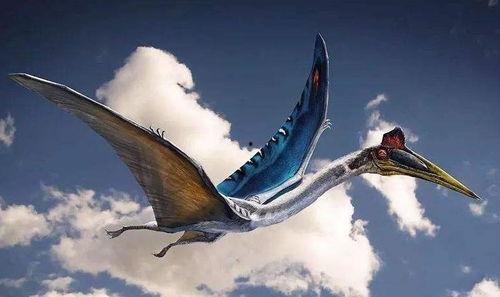 风神翼龙最新爆料消息,神秘进化之谜即将揭晓